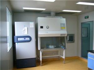 p3实验室